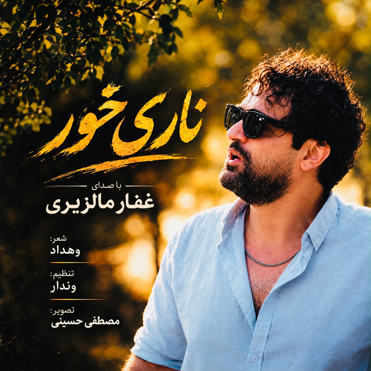 کاور آهنگ ناری خور با صدای غفار مالزیری